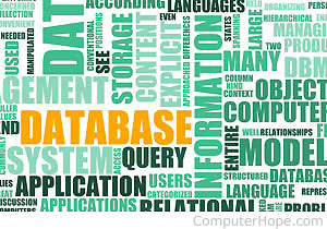 integrated database management system